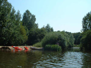 Canoë sur l'Anglin